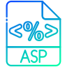 ASP .Net